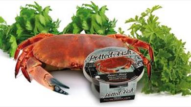Thumbnail for The Potted Fish Company