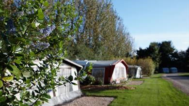 Ross Park Camping site