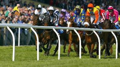 Thumbnail for Race day at Newton Abbot Race Course