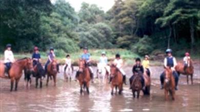 Thumbnail for Newton Ferrers Equestrian Centre