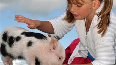 Pennywell Farm