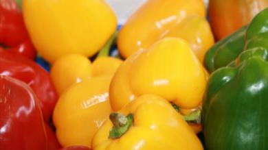 Thumbnail for Dartmouth Farmers' Market