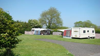 Woodlands Grove Caravan & Camping Park