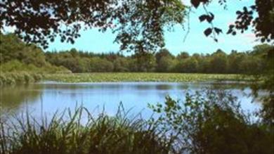 Thumbnail for Stover Country Park