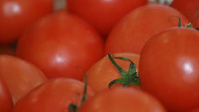 Thumbnail for Buckfastleigh Farmers' Market