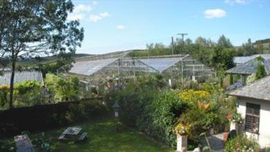 Thumbnail for Hill House Nursery and Gardens