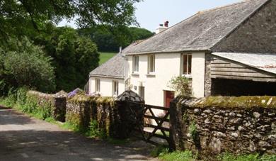South Devon Christmas Special Offers
