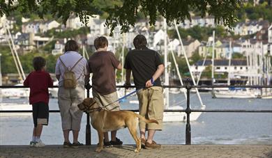 Dog-Friendly Deals