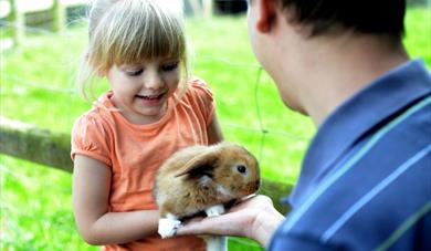 South Devon Father's Day Deals