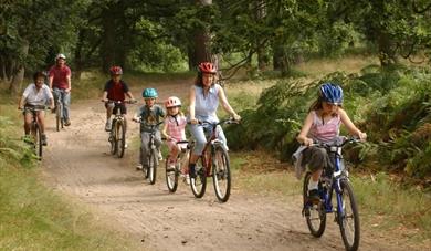 2013 Attractions & Activities Offers