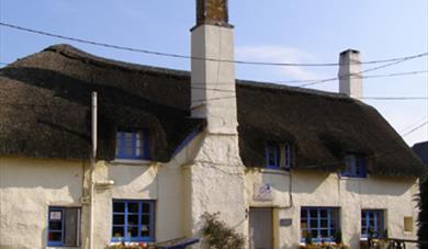South Devon January Hotel, B&B Special Offers