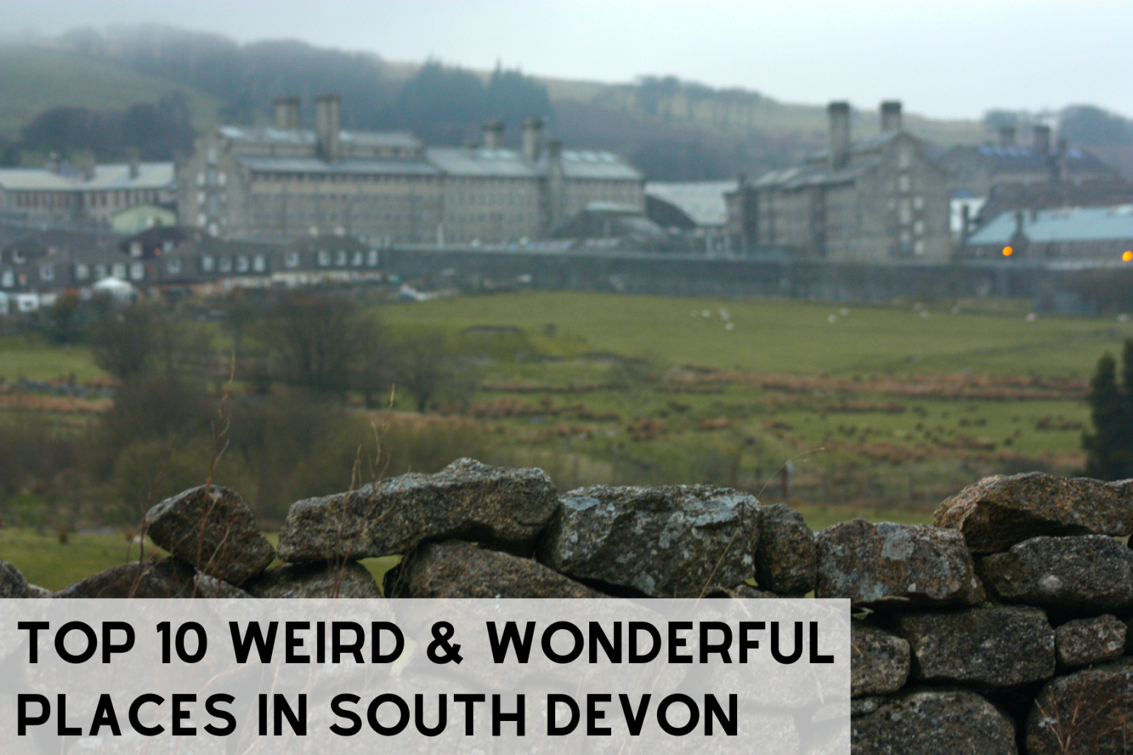 weird and wonderful South Devon