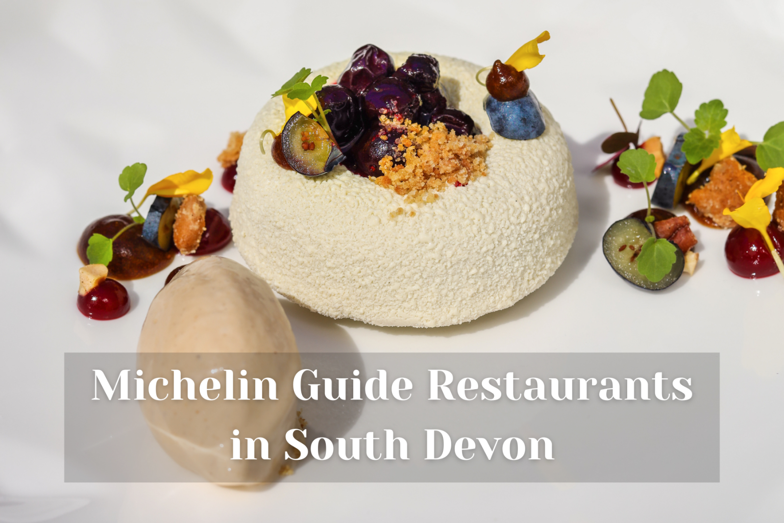 Michelin Guide Restaurants in South Devon