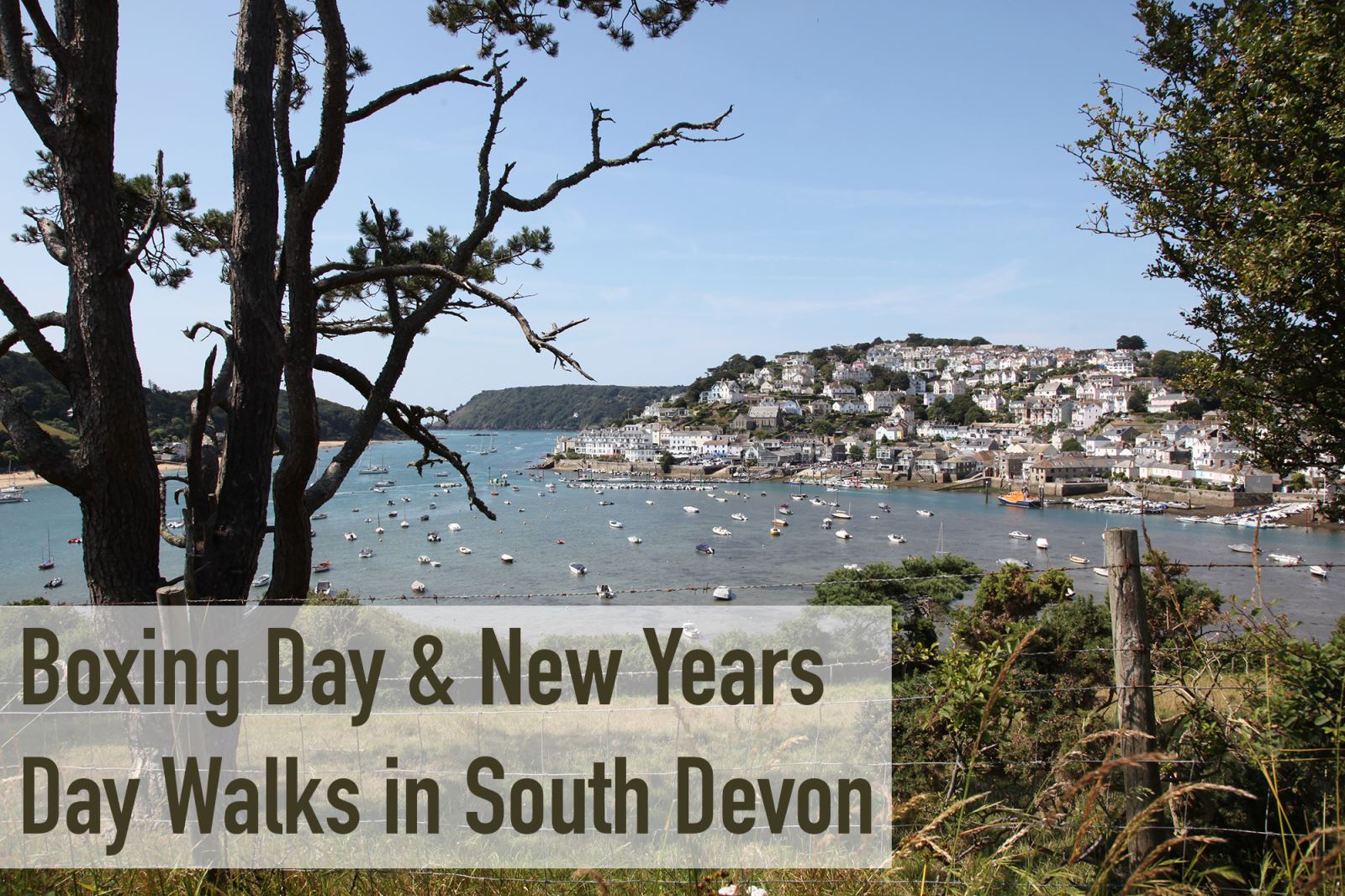 Boxing Day & New Years Day Walks in South Devon - Visit South Devon