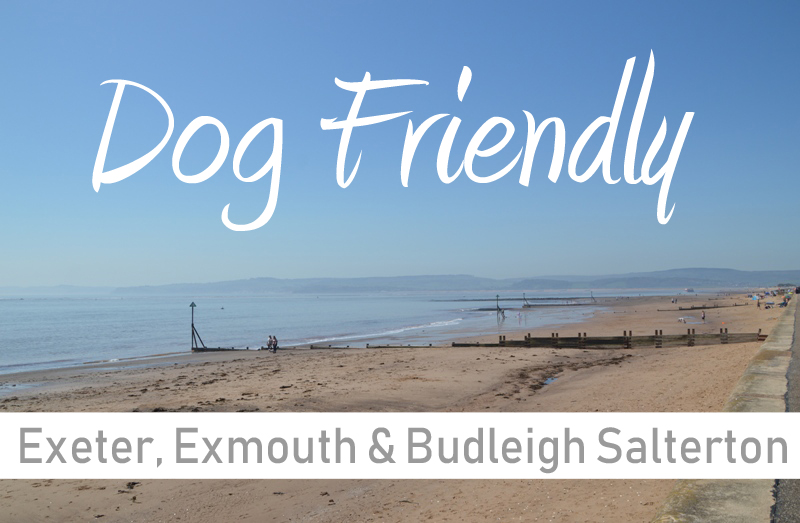 Dog Friendly Exeter, Exmouth & Budleigh Salterton - Visit South Devon