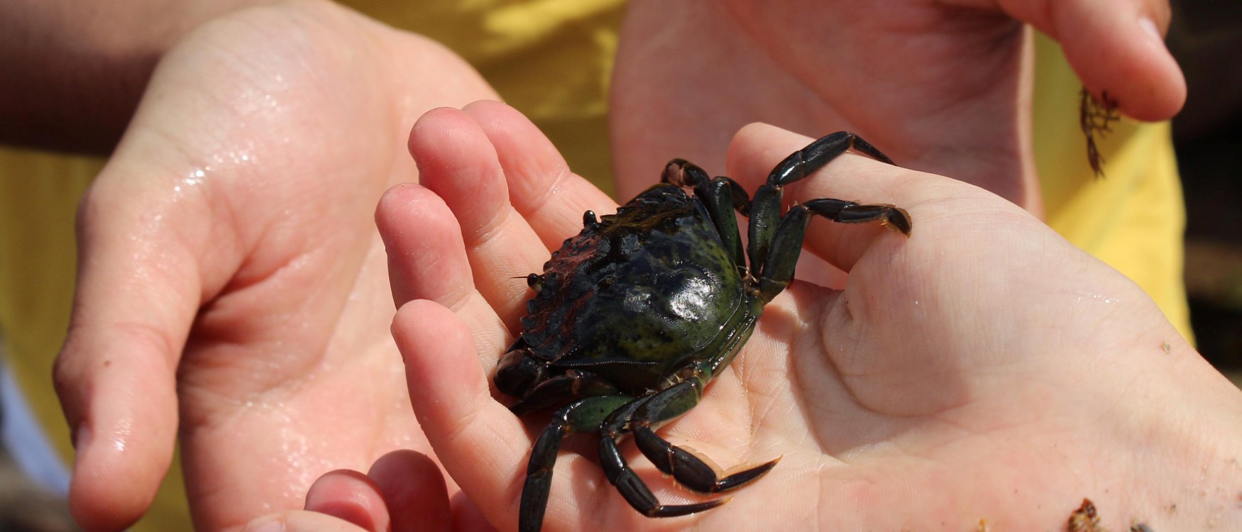 Crabbing Hotspots