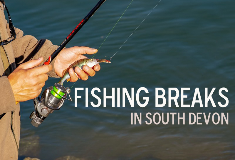 Fishing Breaks in South Devon - Visit South Devon
