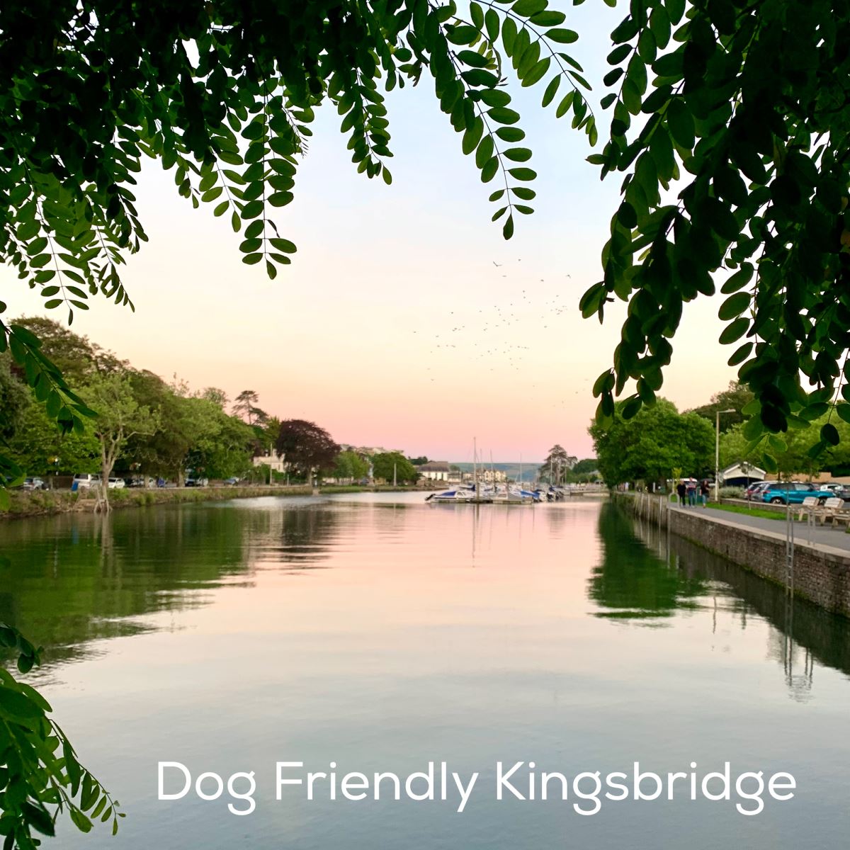 Dog Friendly Kingsbridge