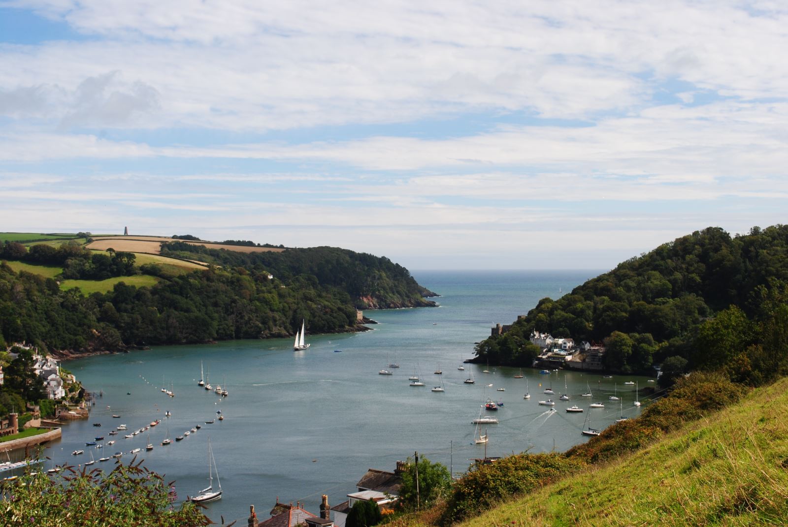 Dart Estuary View