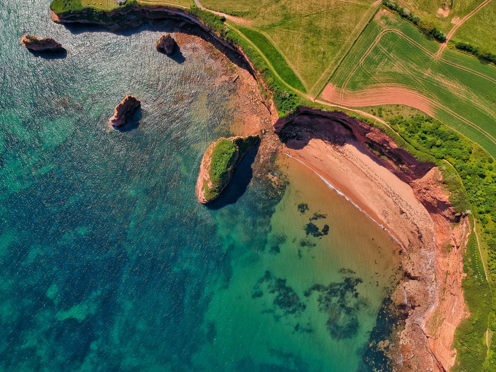 South Devon Coast