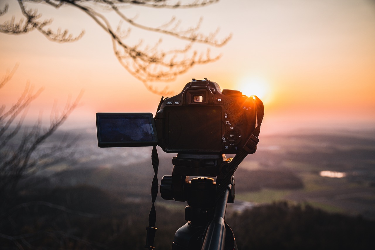 Photography in South Devon