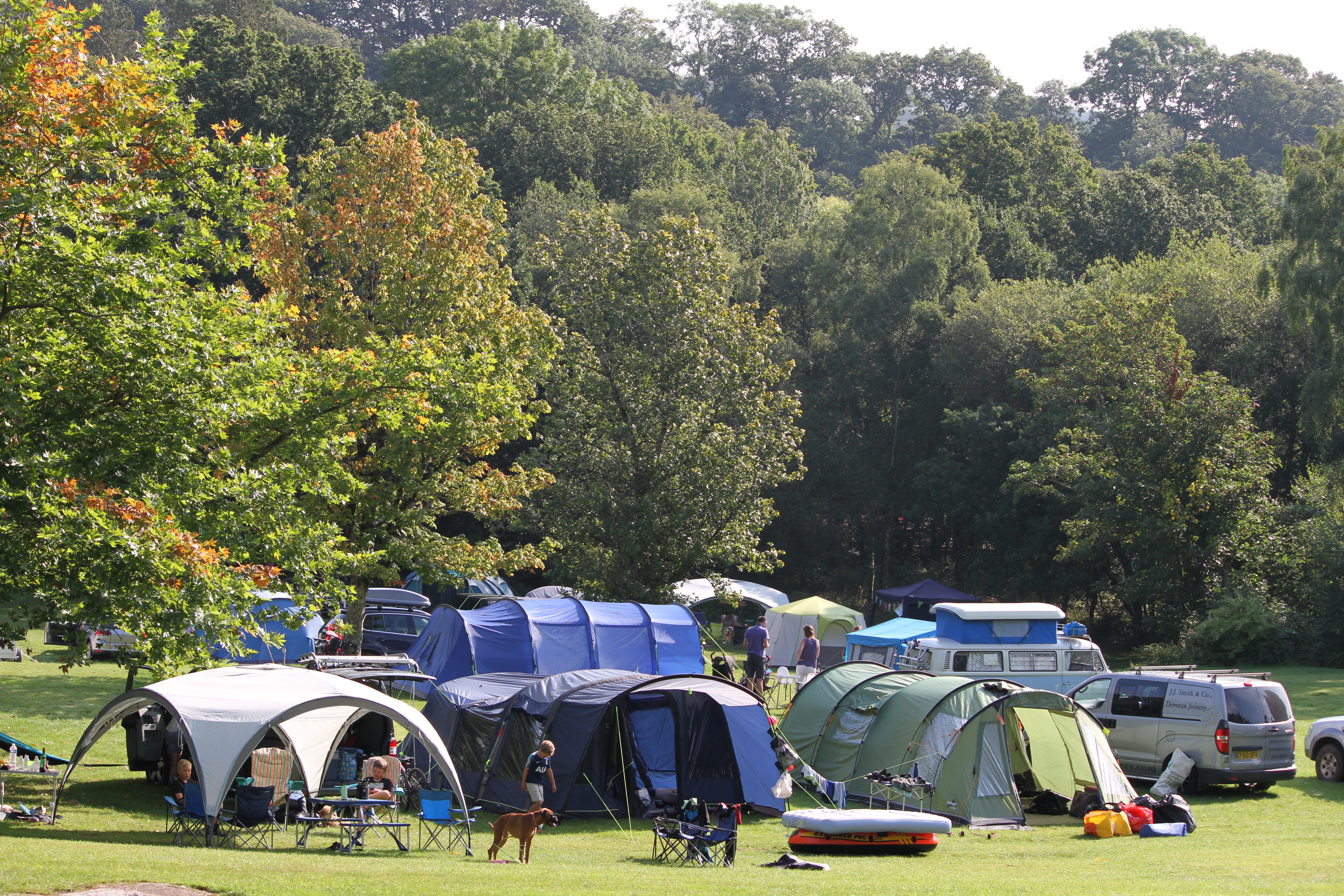 River Dart Country Park - Newton Abbot - Visit South Devon