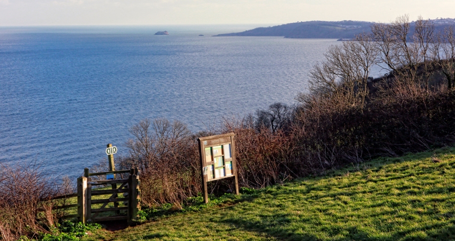 Labrador Bay Visit South Devon