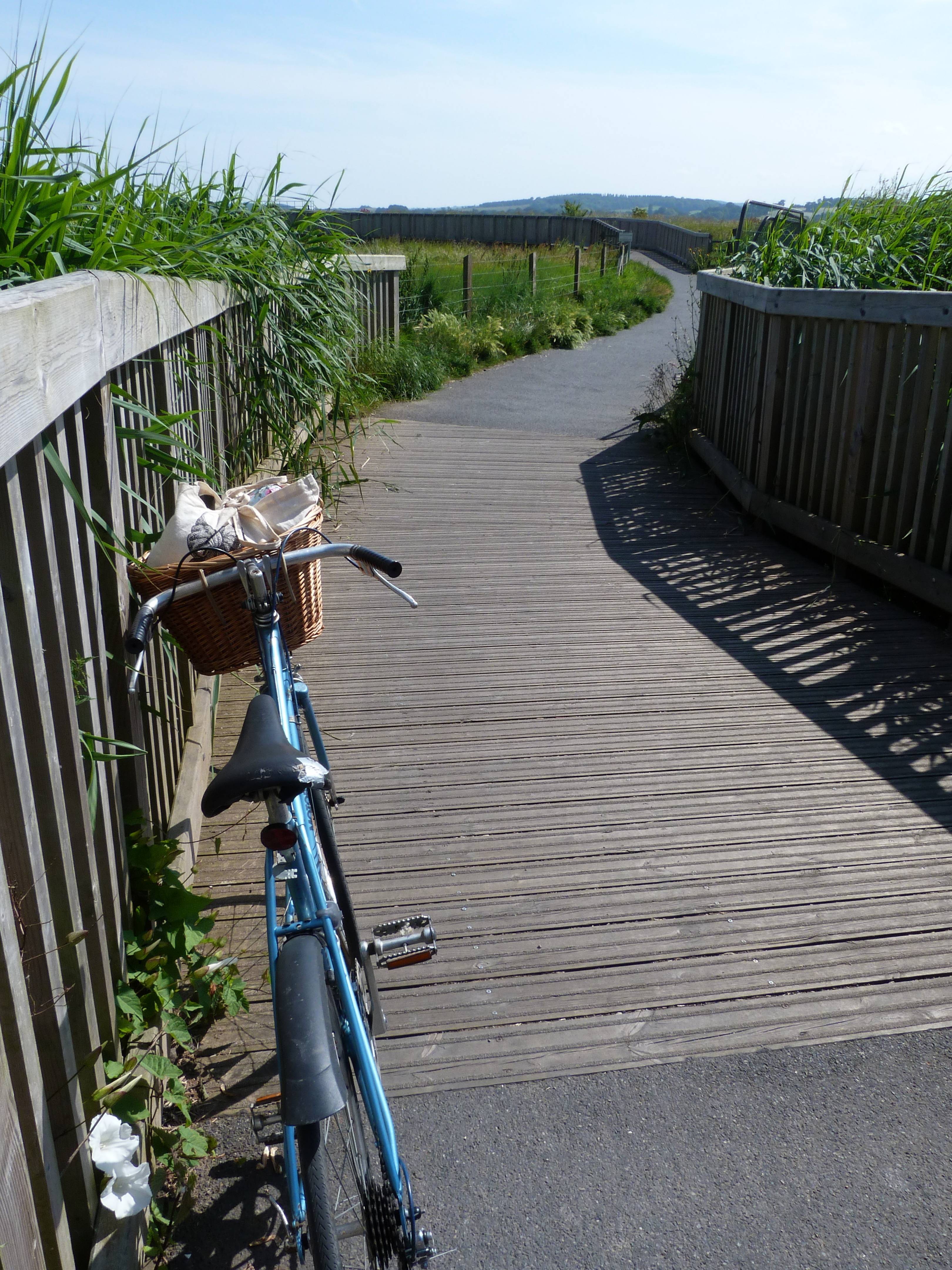 Exe Estuary Trail Map The Exe Estuary Trail - Visit South Devon