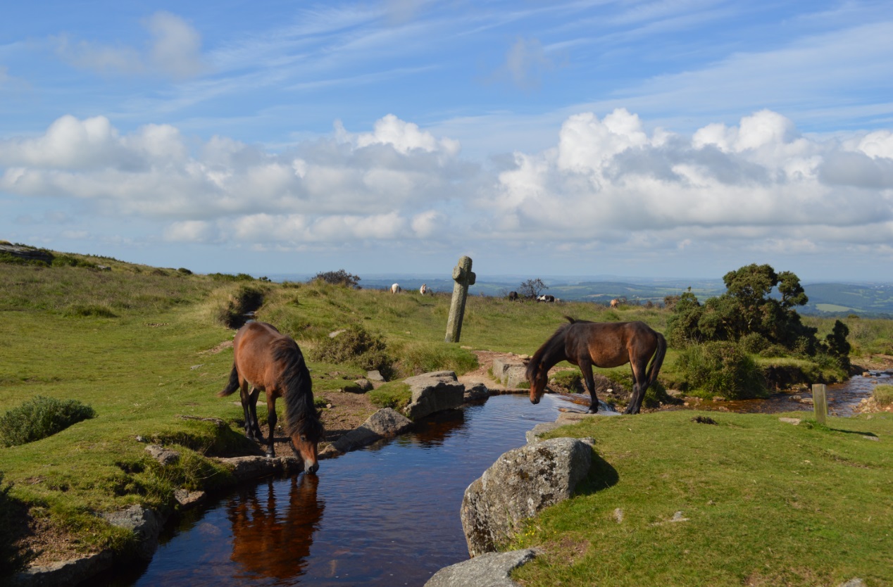 Dartmoor National Park, national parks uk