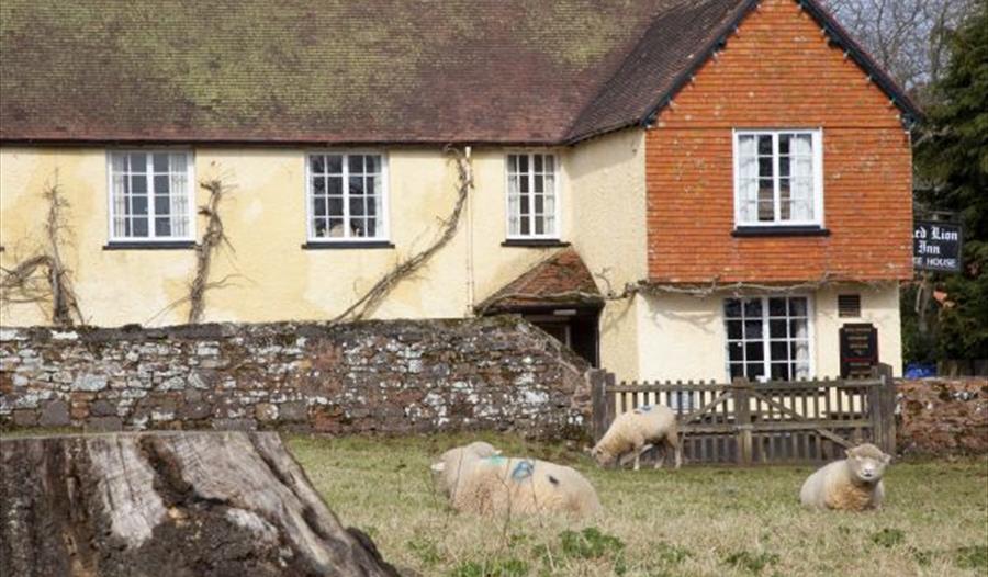 Broadclyst Visit South Devon
