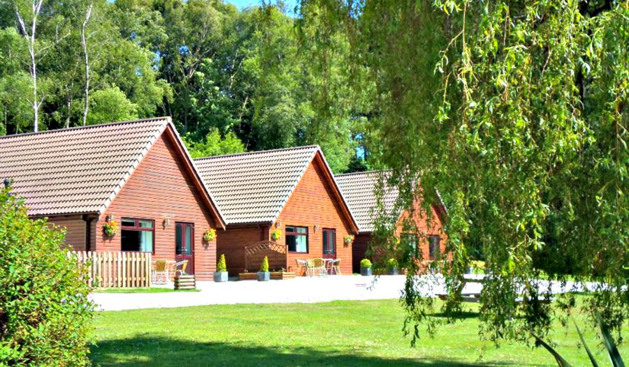 Alpine Park Cottages Exeter Visit South Devon