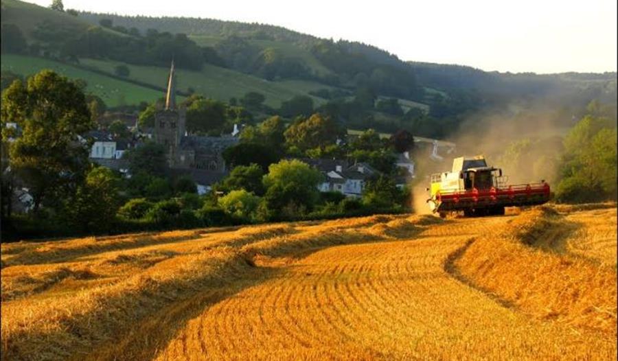 East Devon Area of Outstanding Natural Beauty Visit South Devon
