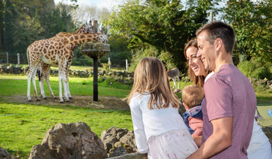Paignton Zoo Environmental Park Visit South Devon