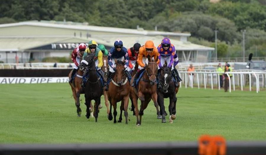 Racing at Newton Abbot Racecourse Visit South Devon