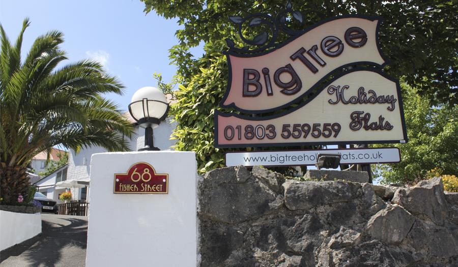 Big Tree Holiday Flats Paignton Visit South Devon