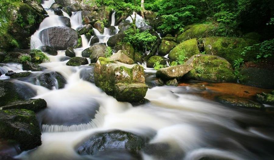 Becky Falls Woodland Park Visit South Devon